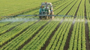 herbicidas-monsanto