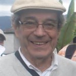 foto pinheiro