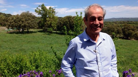 retrato pinheiro