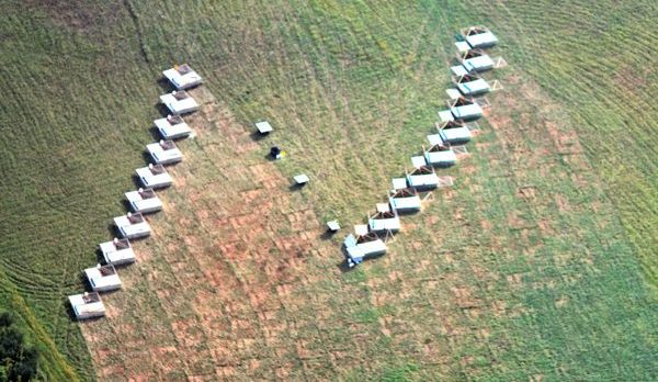 Polyfarming