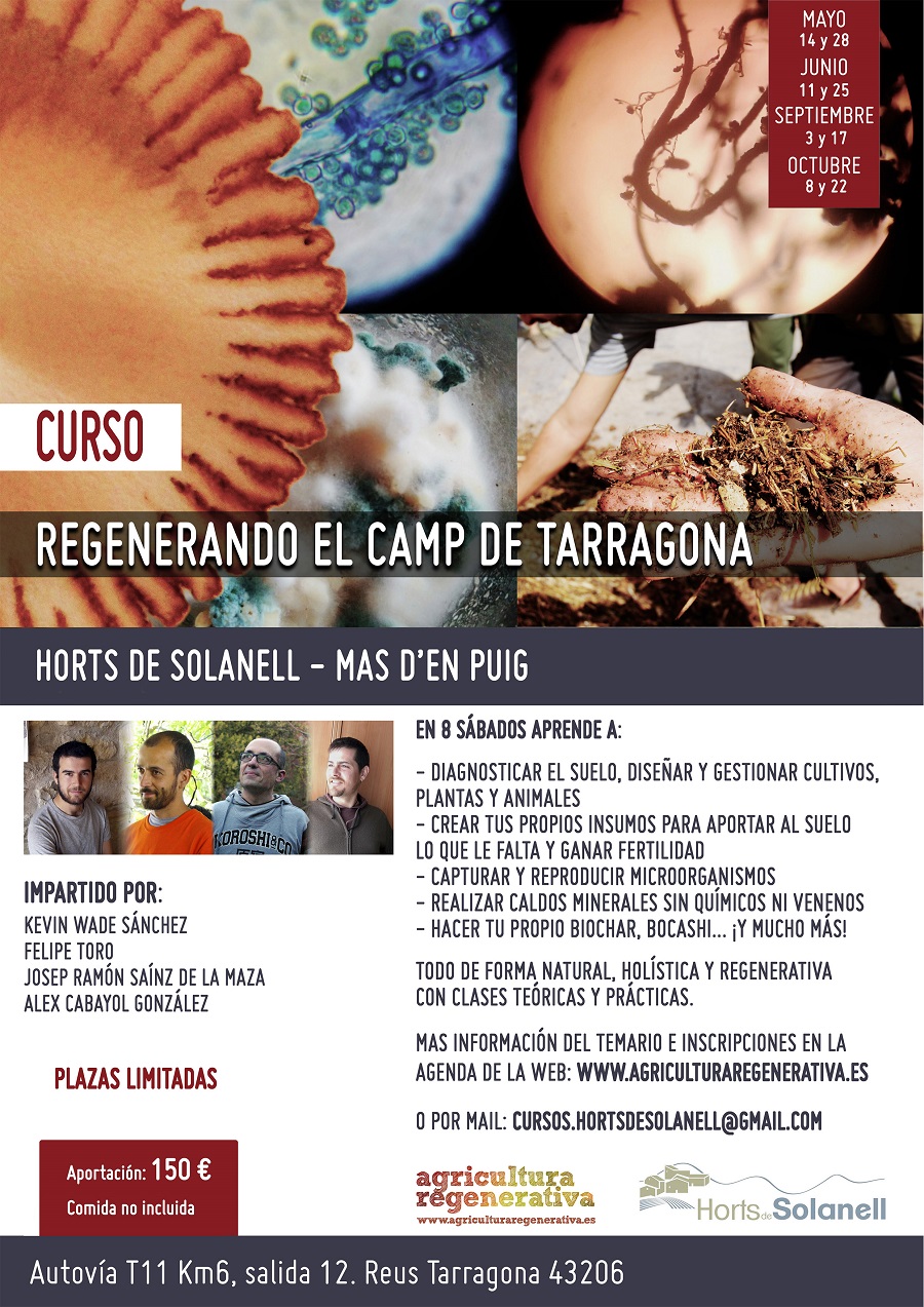 Cartel Curso anual Solanell Castel_peq