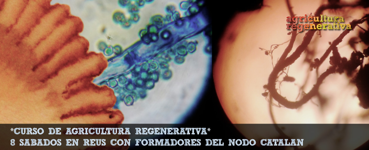 *Curso de Agricultura Regenerativa* 8 sábados en Reus, Catalunya