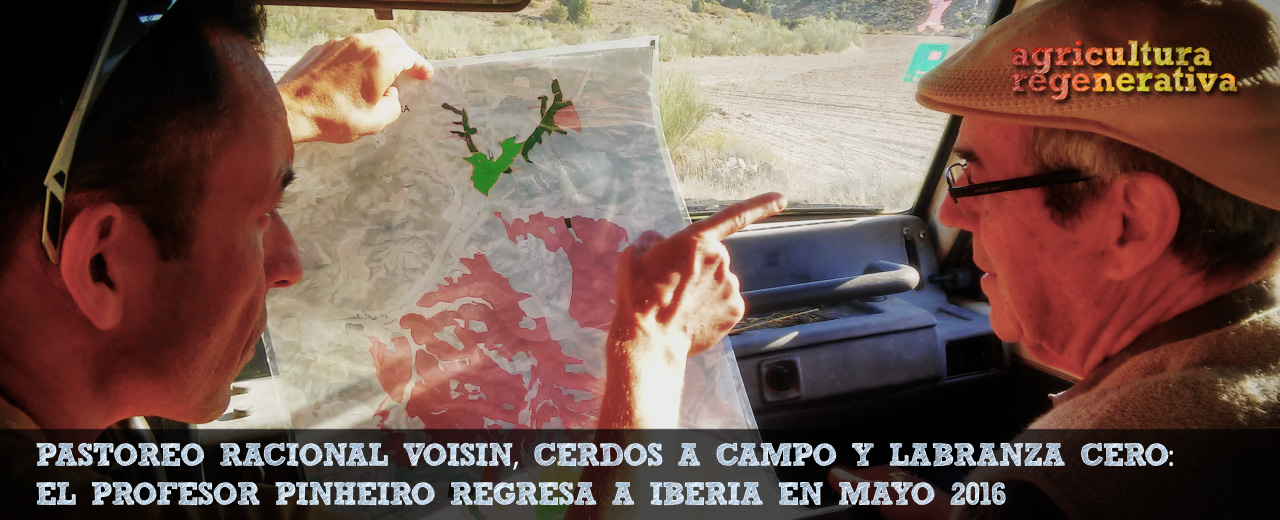¡Vuelve Pinheiro en Mayo!