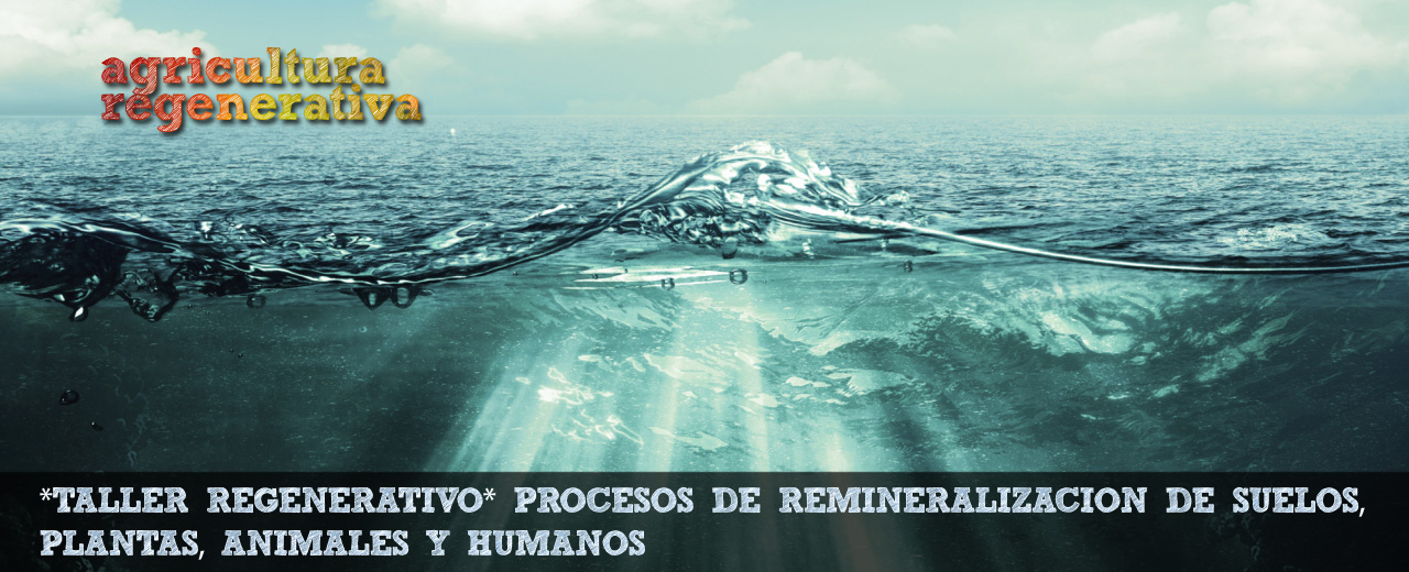 ¡¡ULTIMAS PLAZAS!! en un viaje audiovisual hacia una Vida Remineralizada y Reconectada, en Lleida el 4 y 5 Nov