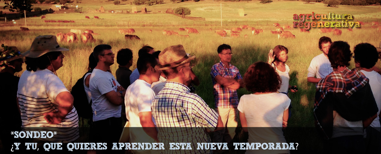*Sondeo* ¿Qué quieres aprender esta temporada 2016/17?