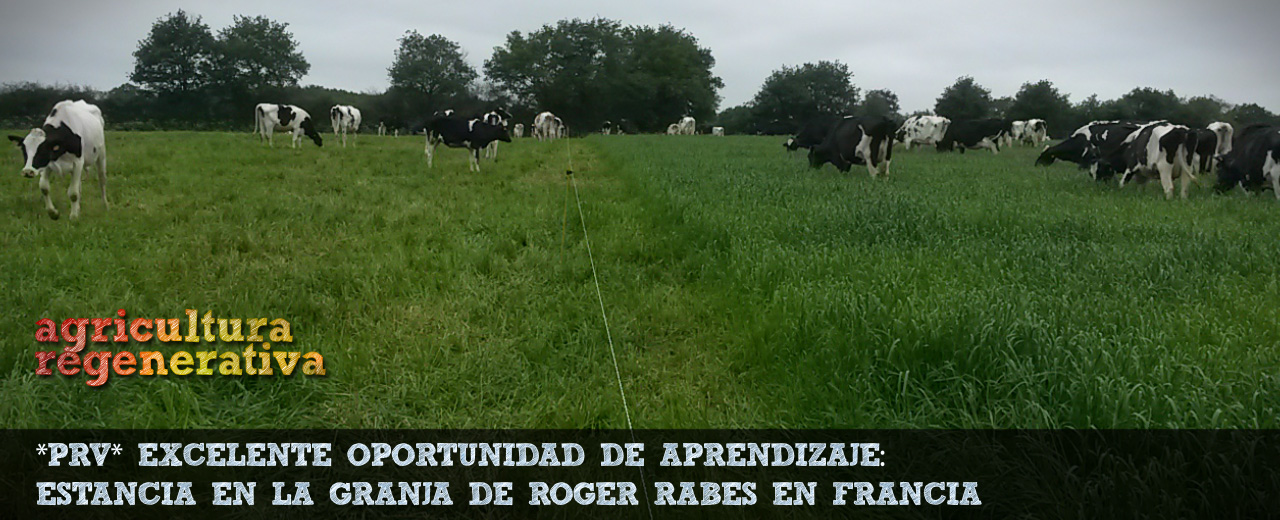 *¡GRAN OPORTUNIDAD en 2018!* Aprende Pastoreo Racional Voisin en la finca de Roger Rabés