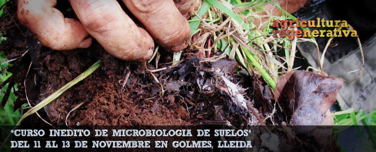 ¡¡ULTIMAS PLAZAS!! en este punterísimo curso de Microbiología de Suelos, 11-13 Nov