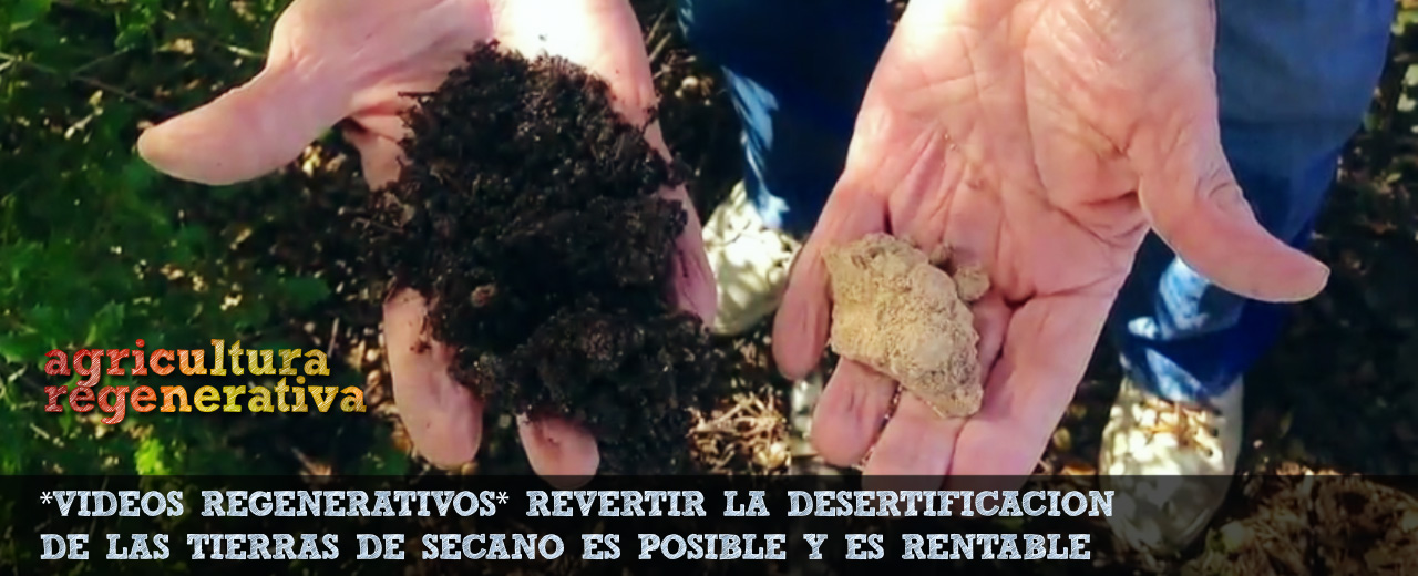 POR QUÉ y CÓMO cultivar cereal sin labranza ni venenos: CASO REAL de un productor ibérico asesorado por el Profesor Pinheiro Machado