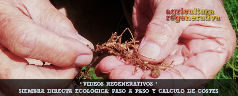 Celebramos que la web de AR ha sido rescatada de los hackers con un *Video HISTÓRICO* sobre siembra directa eco con el Prof. Pinheiro