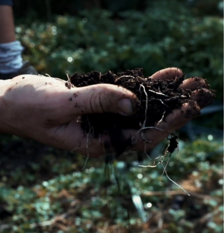 ¿Eres productor/a en el Sur de Europa y quieres practicar la Agro-Ganadería Regenerativa? ¡No te pierdas esto!