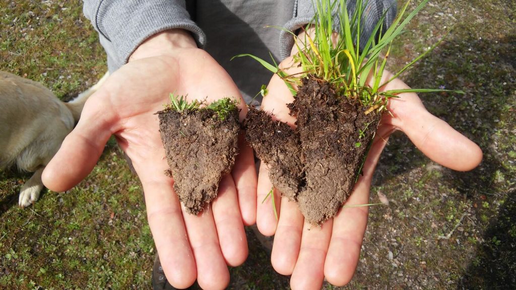Agricultura Regenerativa