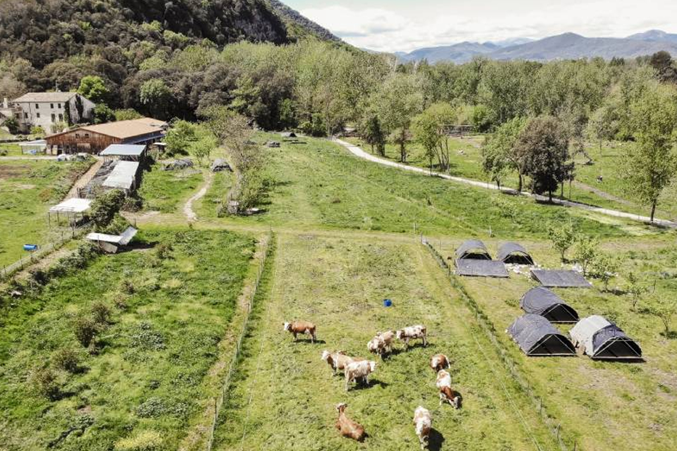 Polyfarming