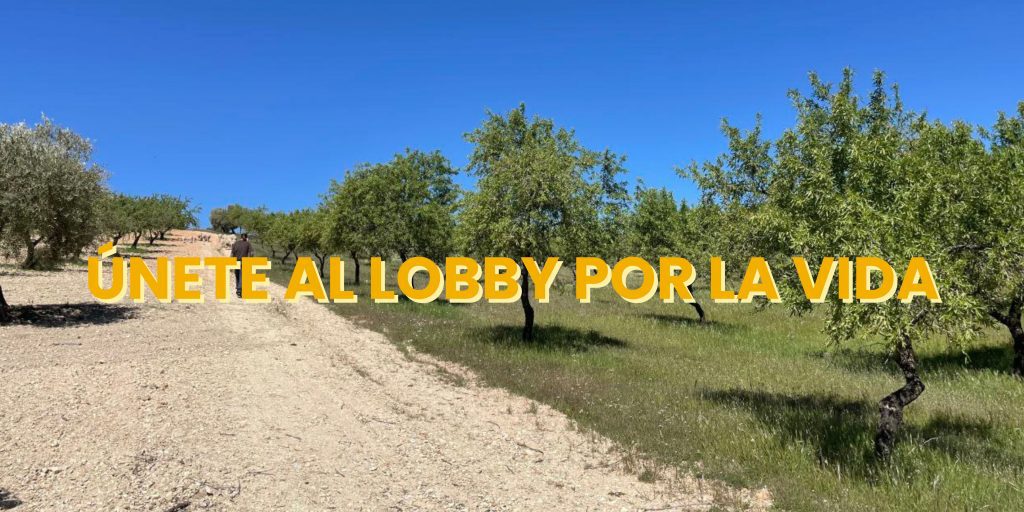 Lobby por la Vida