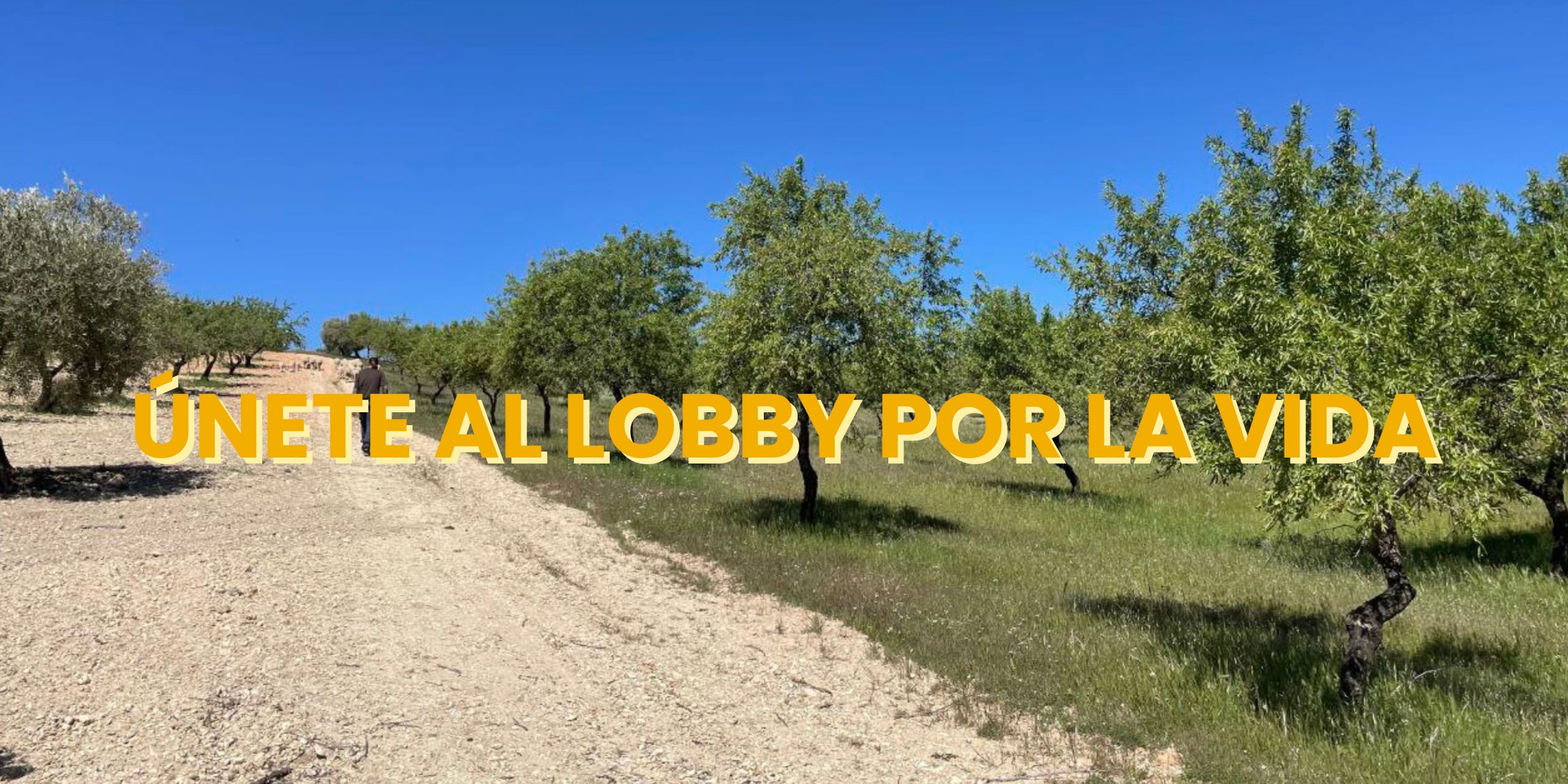 Lobby por la Vida