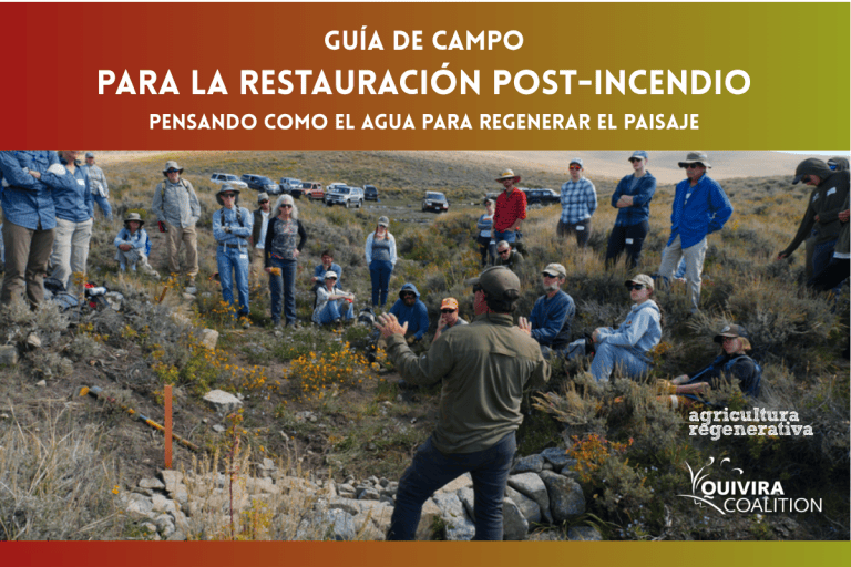 Guía de restauración de paisajes post-incendio
