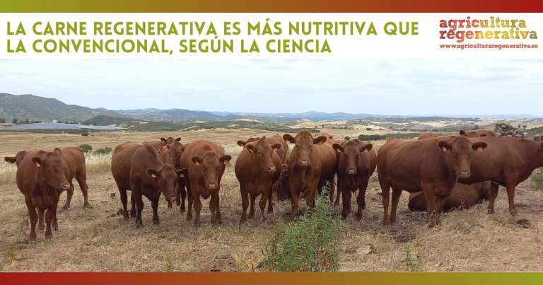 La carne regenerativa es más nutritiva que la convencional, según la ciencia
