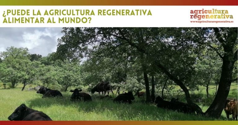 ¿Puede la agricultura regenerativa alimentar al mundo?