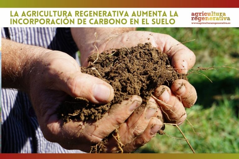 La Agricultura Regenerativa aumenta la incorporación de carbono en el suelo
