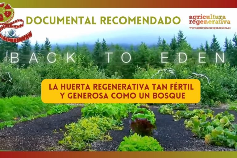 Back to Eden (regreso al Edén): la huerta regenerativa tan fértil y generosa como un bosque