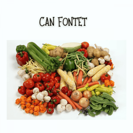 Can Fontet