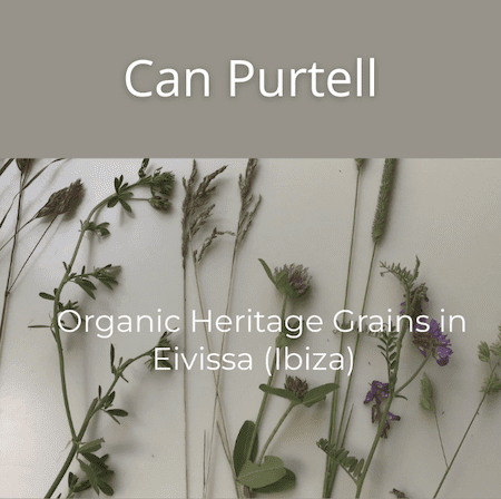 Can Purtell
