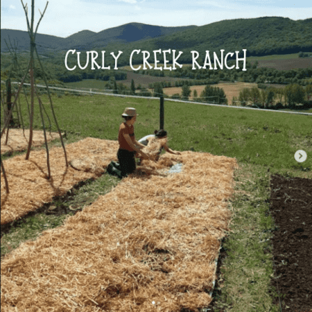 Curly Creek Ranch