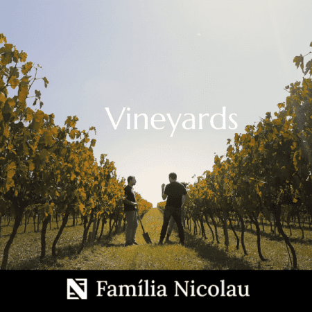Família Nicolau Wines