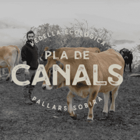 Pla de Canals