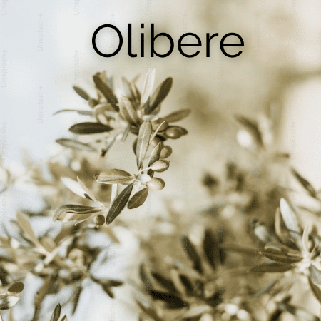 Olibere