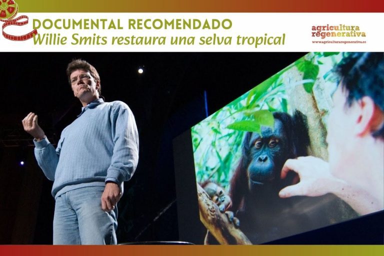 Willie Smits restaura una selva tropical, rescatando vida salvaje, generando empleo local y refrescando el clima