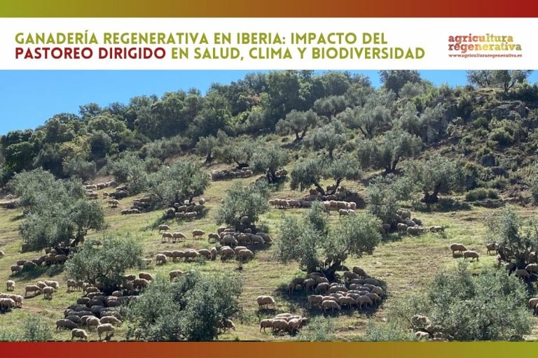 Ganadería Regenerativa en Iberia: Impacto del pastoreo dirigido en salud, clima y biodiversidad