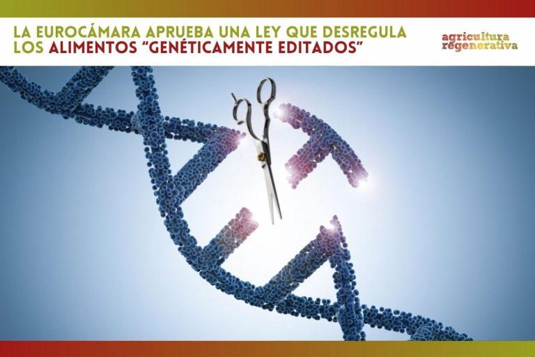 La Eurocámara aprueba una ley que desregula los alimentos “genéticamente editados”