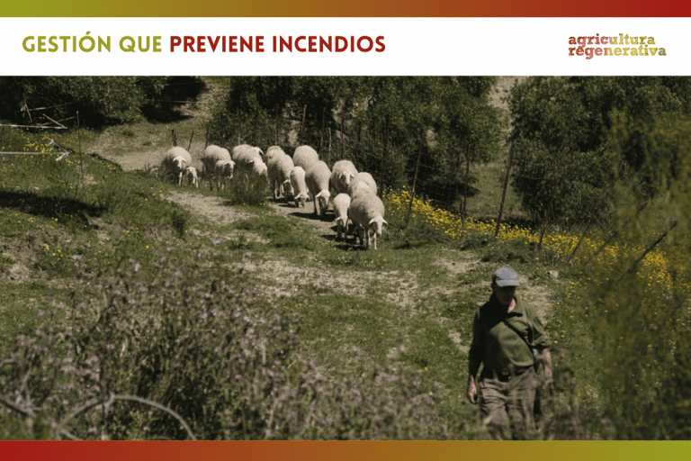Gestión que previene incendios