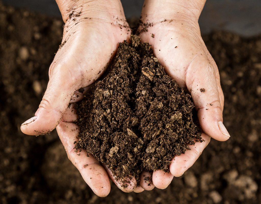 Agricultura Regenerativa, compost Agricultura Regenerativa, compost