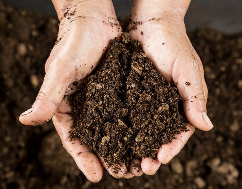 Agricultura Regenerativa, compost